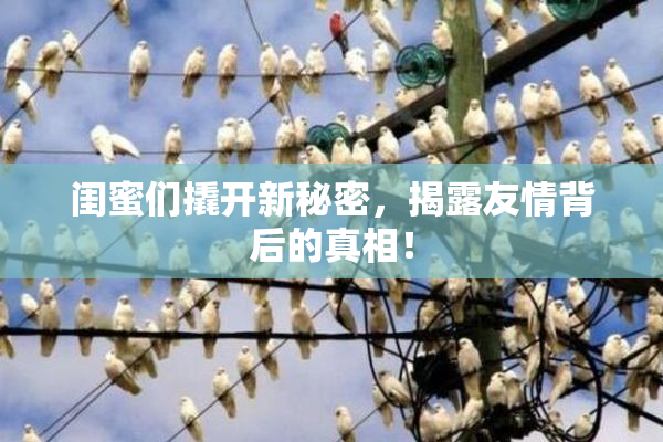 闺蜜们撬开新秘密，揭露友情背后的真相！
