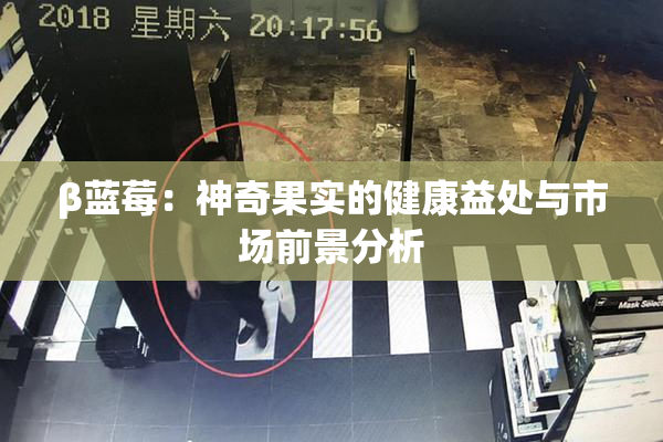 β蓝莓：神奇果实的健康益处与市场前景分析