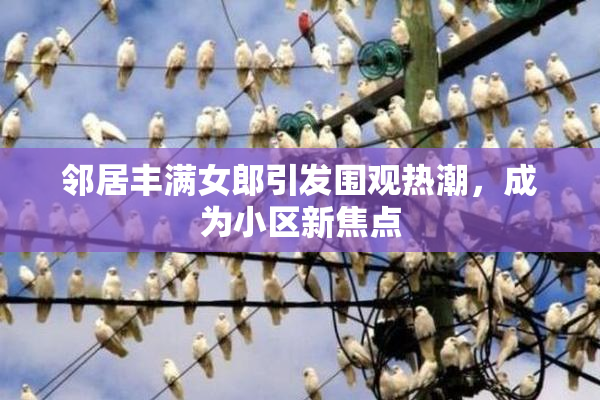 邻居丰满女郎引发围观热潮，成为小区新焦点