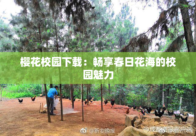 樱花校园下载：畅享春日花海的校园魅力