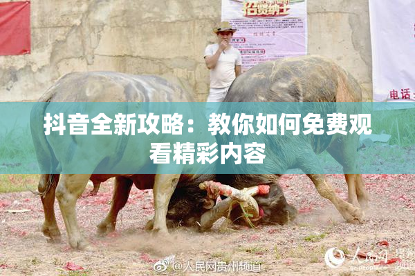 抖音全新攻略：教你如何免费观看精彩内容