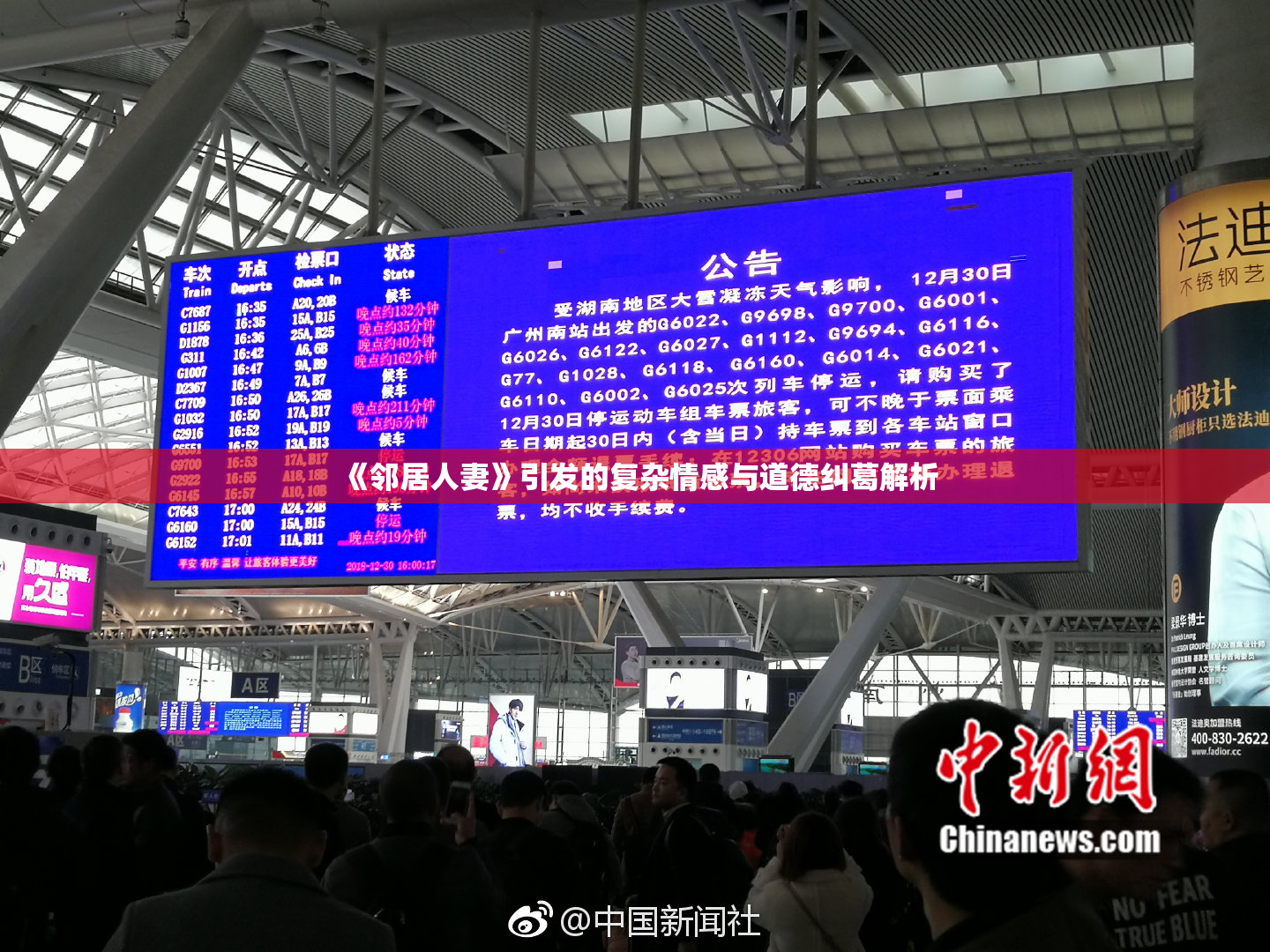 《邻居人妻》引发的复杂情感与道德纠葛解析