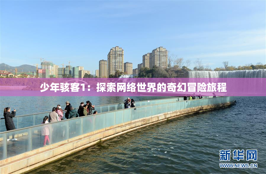 少年骇客1：探索网络世界的奇幻冒险旅程
