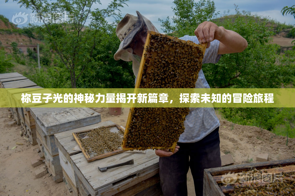 祢豆子光的神秘力量揭开新篇章，探索未知的冒险旅程