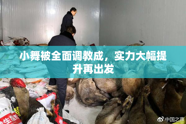 小舞被全面调教成，实力大幅提升再出发