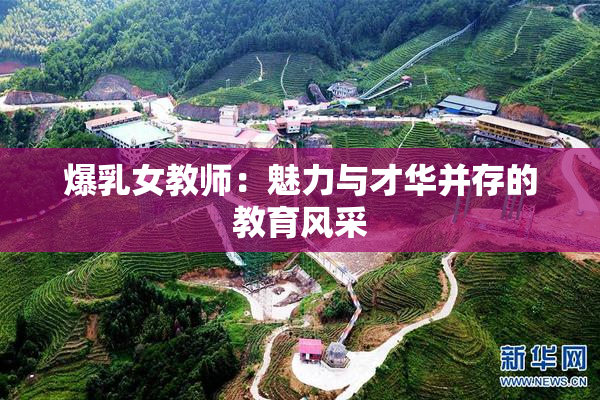 爆乳女教师：魅力与才华并存的教育风采