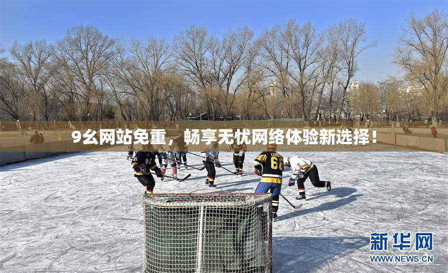 9幺网站免重，畅享无忧网络体验新选择！