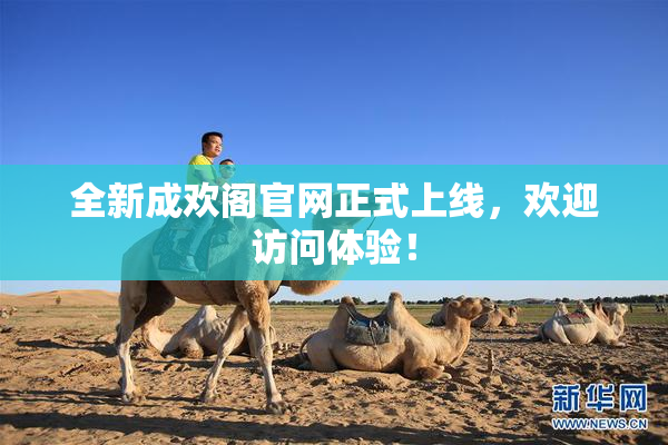 全新成欢阁官网正式上线，欢迎访问体验！