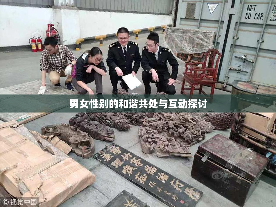 男女性别的和谐共处与互动探讨