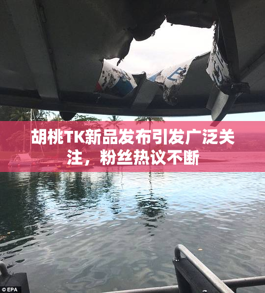 胡桃TK新品发布引发广泛关注，粉丝热议不断