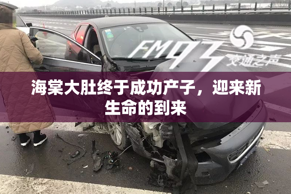 海棠大肚终于成功产子，迎来新生命的到来