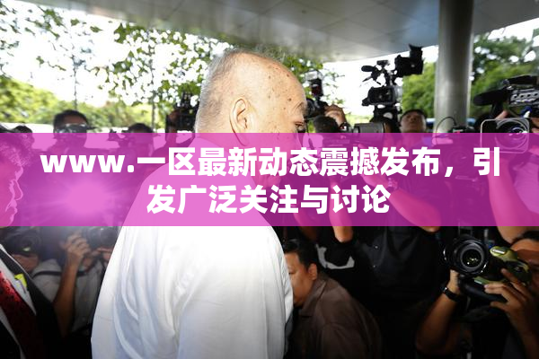 www.一区最新动态震撼发布，引发广泛关注与讨论