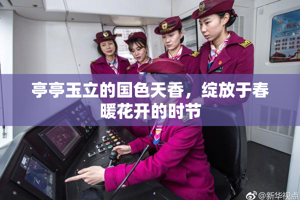 亭亭玉立的国色天香，绽放于春暖花开的时节