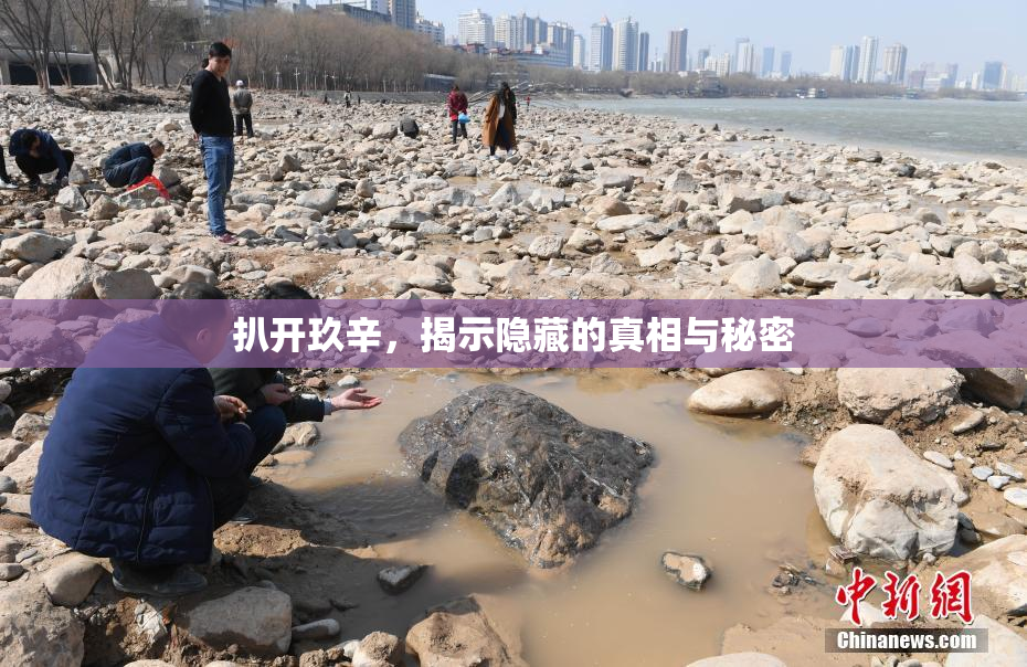 扒开玖辛，揭示隐藏的真相与秘密