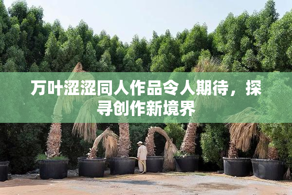 万叶涩涩同人作品令人期待，探寻创作新境界