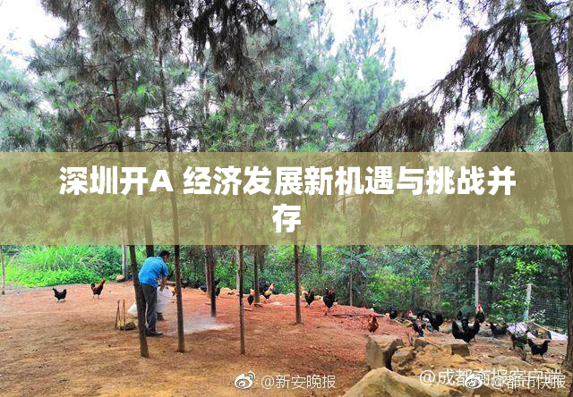 深圳开A 经济发展新机遇与挑战并存