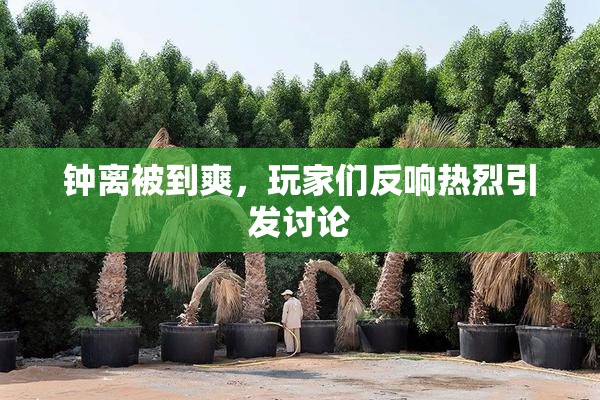 钟离被到爽，玩家们反响热烈引发讨论