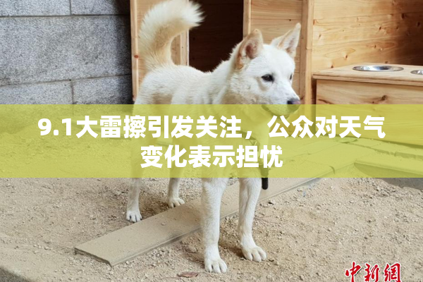 9.1大雷擦引发关注，公众对天气变化表示担忧