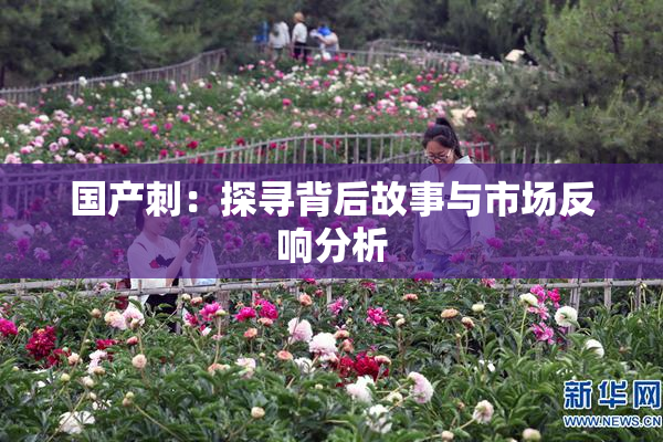 国产刺：探寻背后故事与市场反响分析