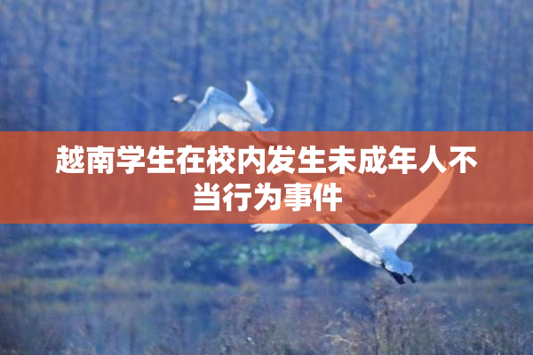越南学生在校内发生未成年人不当行为事件