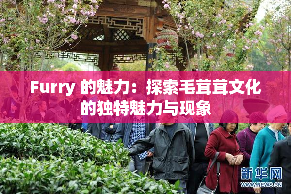 Furry 的魅力：探索毛茸茸文化的独特魅力与现象