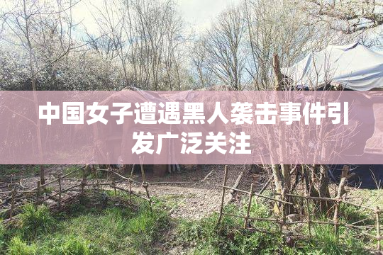 中国女子遭遇黑人袭击事件引发广泛关注