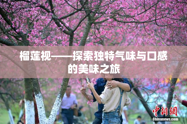 榴莲视——探索独特气味与口感的美味之旅