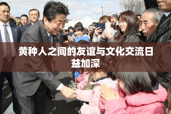 黄种人之间的友谊与文化交流日益加深