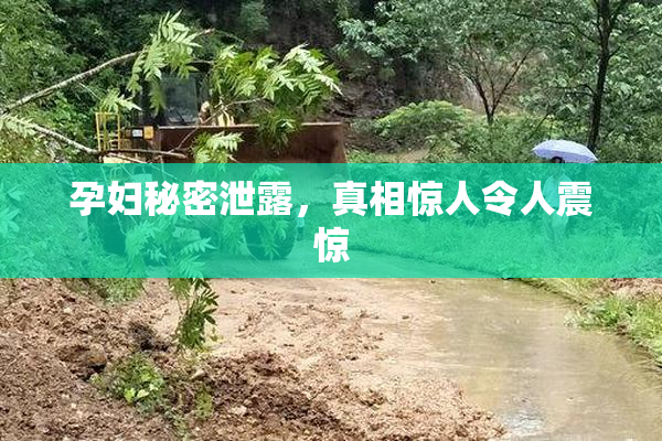 孕妇秘密泄露，真相惊人令人震惊