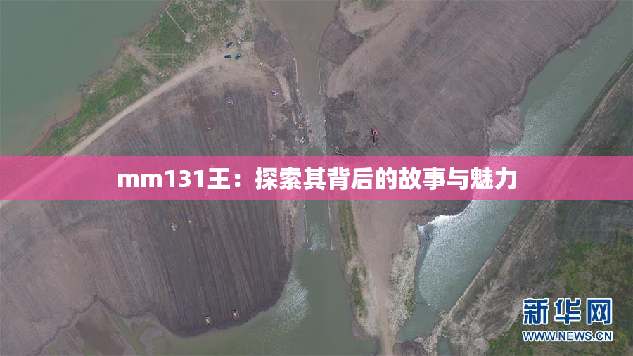 mm131王：探索其背后的故事与魅力
