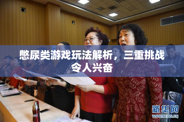 憋尿类游戏玩法解析，三重挑战令人兴奋