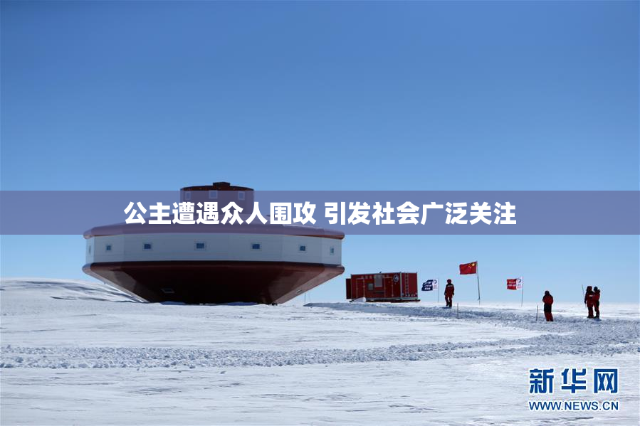 公主遭遇众人围攻 引发社会广泛关注