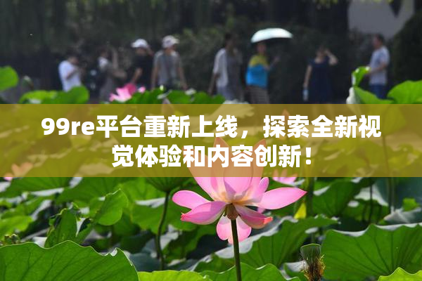99re平台重新上线，探索全新视觉体验和内容创新！