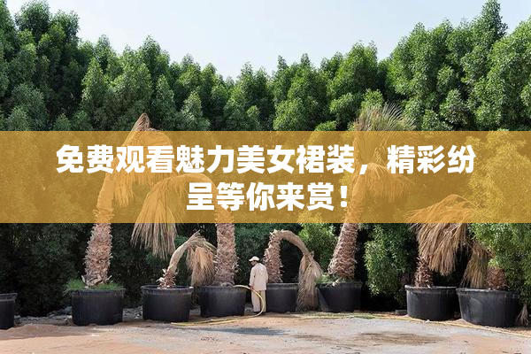 免费观看魅力美女裙装，精彩纷呈等你来赏！
