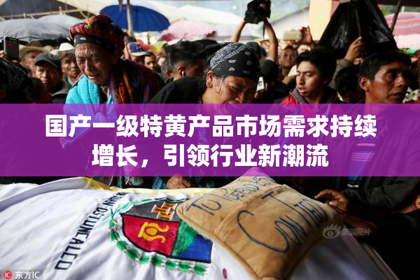 国产一级特黄产品市场需求持续增长，引领行业新潮流