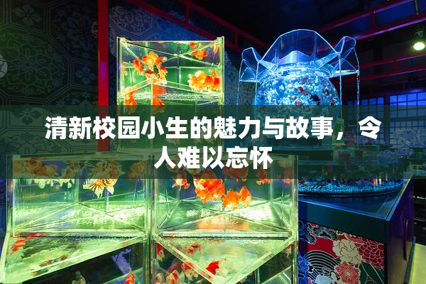 清新校园小生的魅力与故事，令人难以忘怀