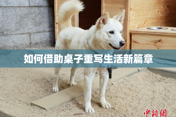 如何借助桌子重写生活新篇章