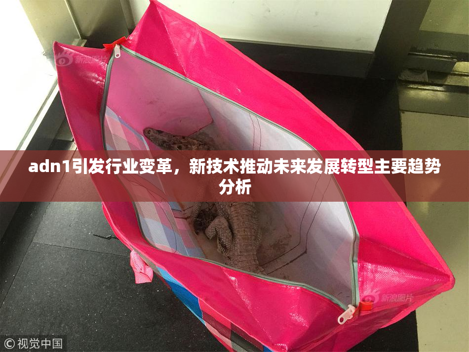 adn1引发行业变革，新技术推动未来发展转型主要趋势分析