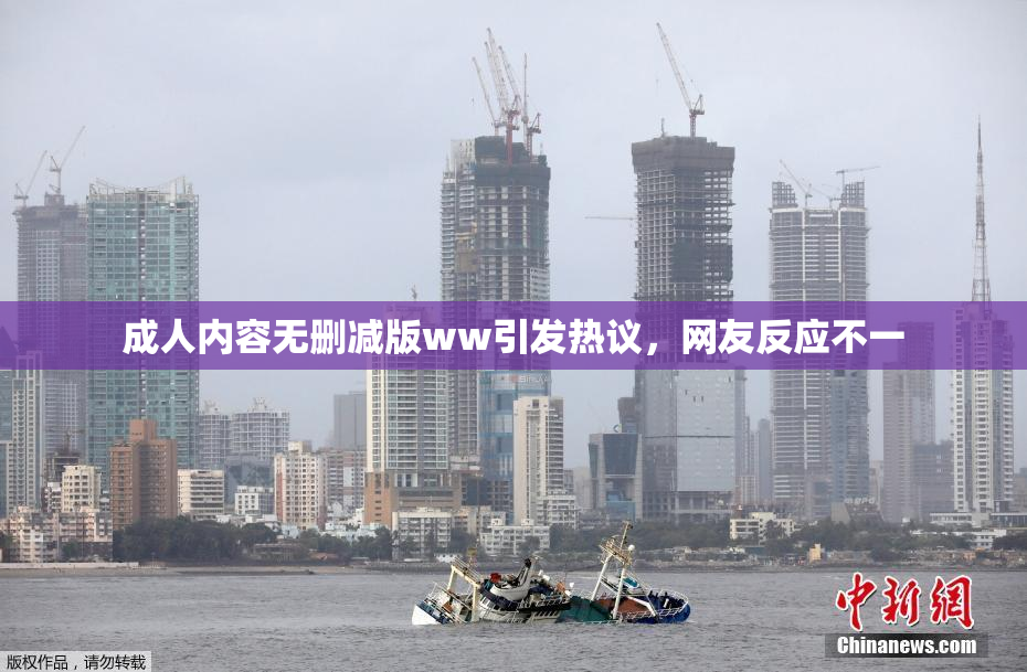 成人内容无删减版ww引发热议，网友反应不一
