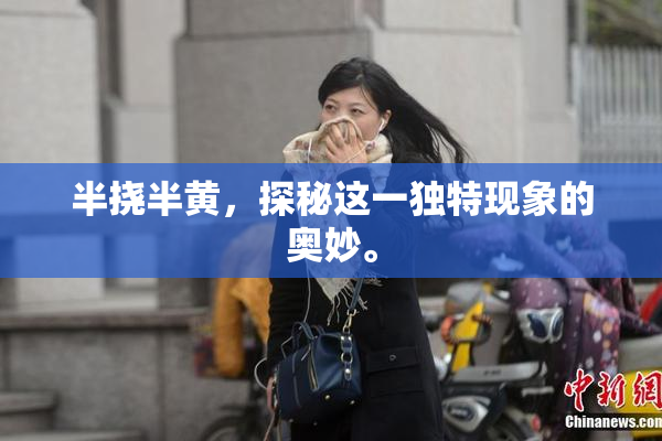 半挠半黄，探秘这一独特现象的奥妙。