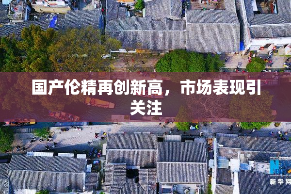 国产伦精再创新高，市场表现引关注