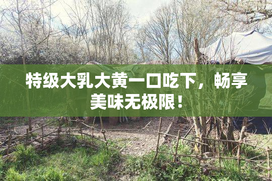 特级大乳大黄一口吃下，畅享美味无极限！