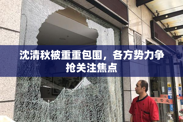 沈清秋被重重包围，各方势力争抢关注焦点