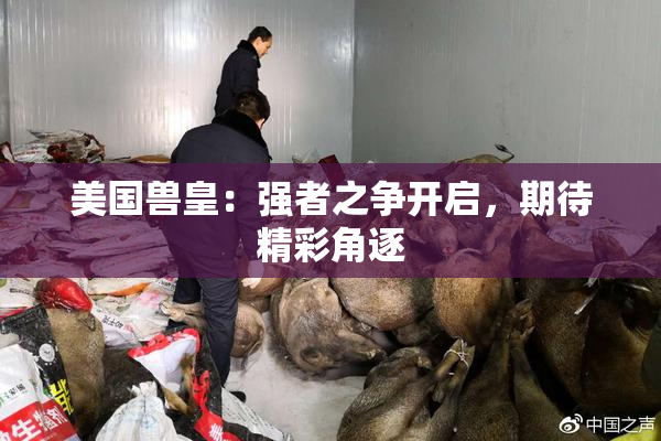 美国兽皇：强者之争开启，期待精彩角逐