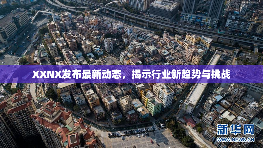 XXNX发布最新动态，揭示行业新趋势与挑战