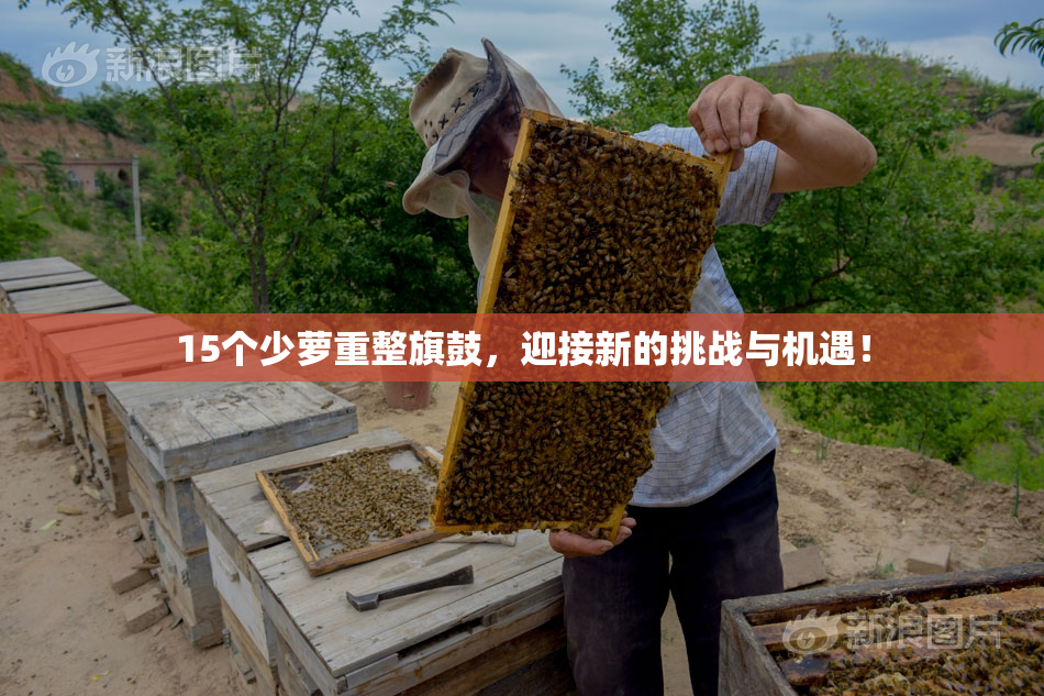 15个少萝重整旗鼓，迎接新的挑战与机遇！