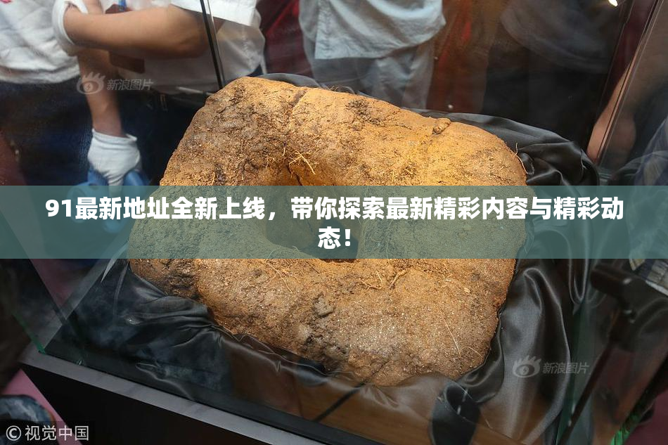 91最新地址全新上线，带你探索最新精彩内容与精彩动态！
