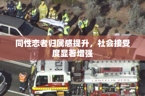 同性恋者归属感提升，社会接受度显著增强