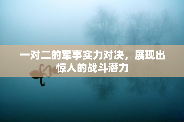 一对二的军事实力对决，展现出惊人的战斗潜力