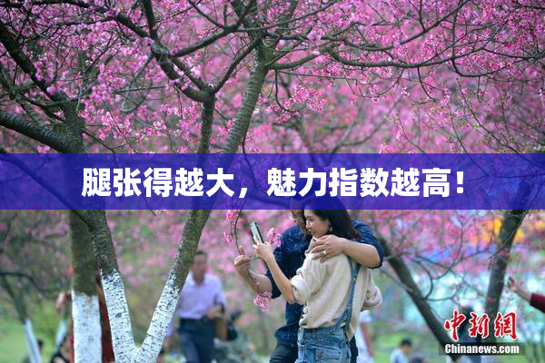 腿张得越大，魅力指数越高！